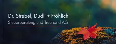 Entreprises 6 image DR. STREBEL, DUDLI + FRÖHLICH STEUERBERATUNG UND TREUHAND AG Treuhänder, Treuhandgesellschaften dans Zürich ZH