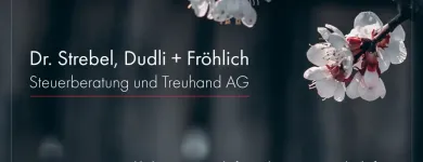 Entreprises 9 image DR. STREBEL, DUDLI + FRÖHLICH STEUERBERATUNG UND TREUHAND AG Treuhänder, Treuhandgesellschaften dans Zürich ZH