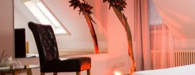 Immagine 4 azienda EROTIKSTUDIO A24 Unterhaltung in Zürich ZH