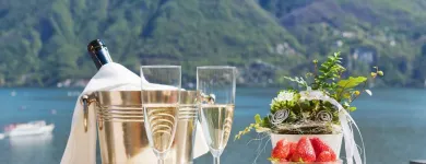Immagine 28 azienda HOTEL WALTER AU LAC Hotels in Lugano TI
