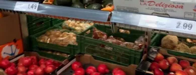 Immagine 17 azienda LIDL SCHWEIZ Textil/Bekleidung in Zurich ZH