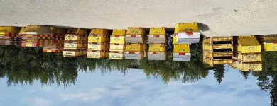 Immagine 27 azienda MULDENZENTRALE AG Schrottunternehmen, Buntmetalle-Unternehmen, Recyclingunternehmen in Zurich ZH