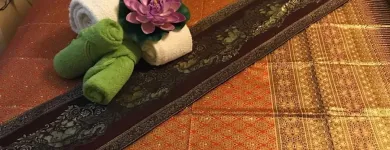 Entreprises 6 image SABAYDEE TRADITIONELLE THAI MASSAGE Sonstige Erotische Dienstleistungen dans Zurich ZH