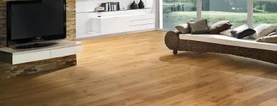 Entreprises 4 image SANEO SA Bauunternehmen dans Carouge GE