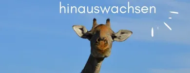 Entreprises 7 image STRESS AWAY TRAININGS Ärzte dans Zürich ZH