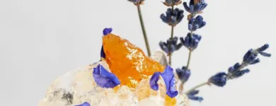 Unternehmen 12 Bild SUPER OFFICINE Hotel-/Gastronomiegewerbe am Lugano TI