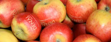 Unternehmen 7 Bild SWISS DENTAL CENTER Ärzte am Zurich ZH