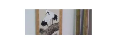 Entreprises 5 image TCM MANDARIN GMBH Ärzte dans Zürich ZH