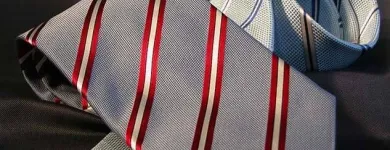Immagine 6 azienda THATSUITS GMBH Textil/Bekleidung in Zurich ZH