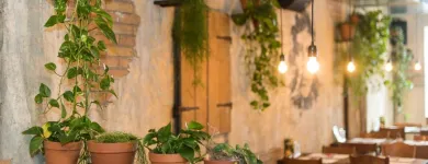 Unternehmen 22 Bild US-MEX SCHAFFHAUSEN Mexikanische Restaurants am Schaffhausen SH