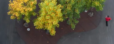 Immagine 5 azienda VETSCHPARTNER LANDSCHAFTSARCHITEKTEN AG Ämter/Behörden/Gerichte in Zurich ZH