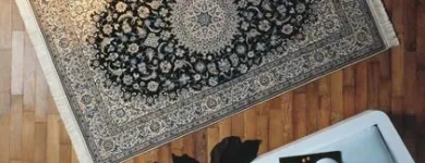 Entreprises 4 image VIDAL AG Wohnaccessoires Einzelhandel dans Zurich ZH