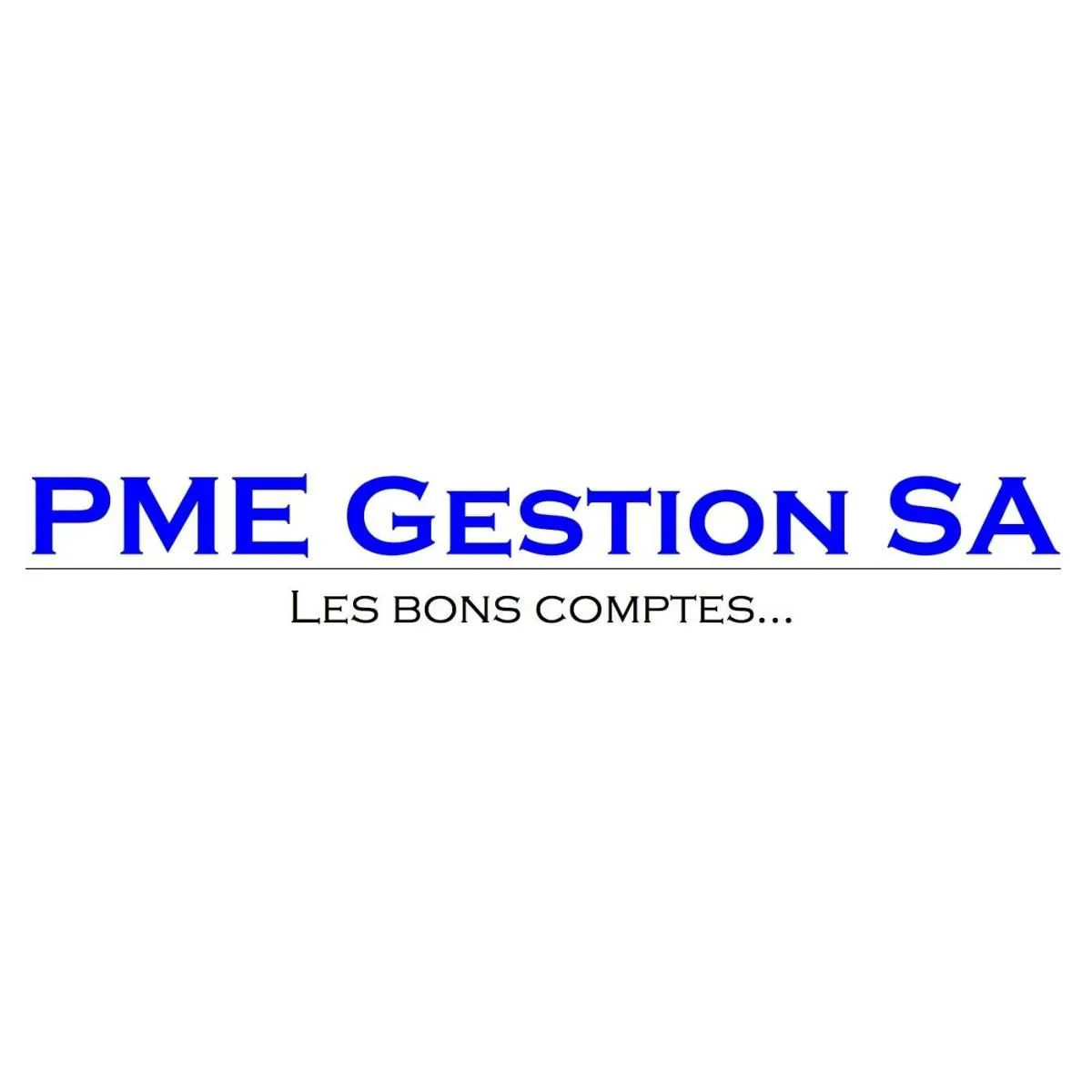 Unternehmen 2 Bild FIDUCIAIRE PME GESTION SA CAROUGE - DÉCLARATION D'IMPÔTS - COMPTABILITÉ - SALAIRES