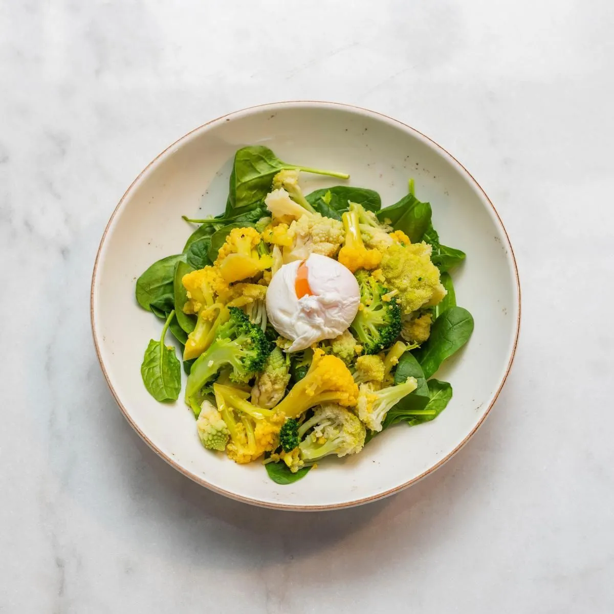 Immagine 28 azienda SUPER OFFICINE