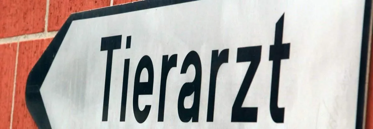 Immagine 2 azienda DR. MED. VET. FILIPPO BENTIVOGLIO