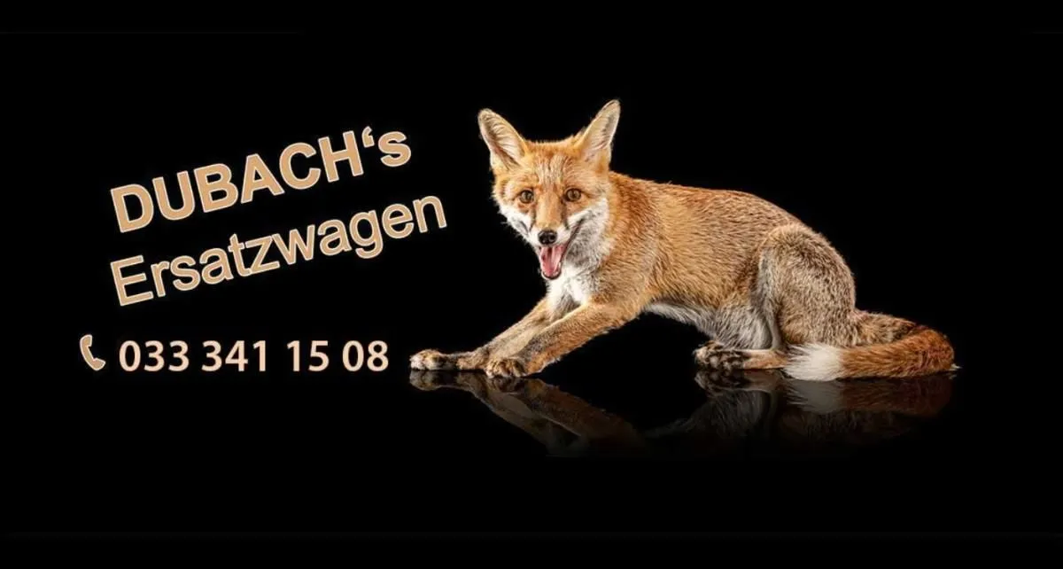 Immagine 3 azienda DUBACH GARAGE THUN GMBH