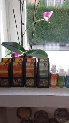 Entreprises 4 image TCM MANDARIN GMBH