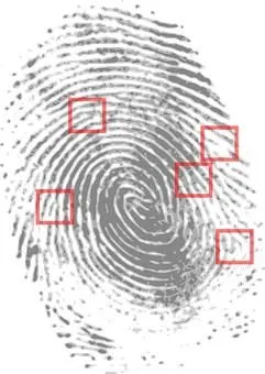 Unternehmen 5 Bild DETEKTIVBÜRO FÜR WIRTSCHAFT & KRIMINALISTIK, D. SENN