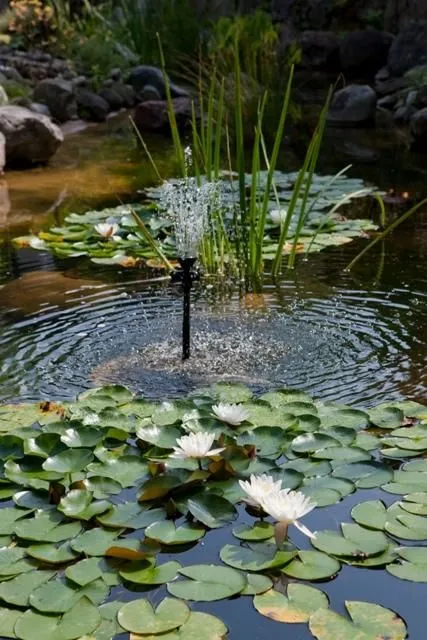 Entreprises 11 image RESTAURANT OBERES TRIEMLI