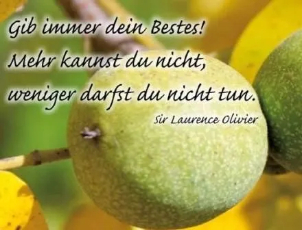 Entreprises 5 image NOTARIAT NUSSBAUM