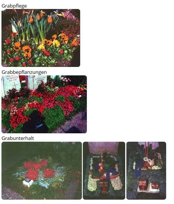 Entreprises 5 image BLUMEN PFISTER