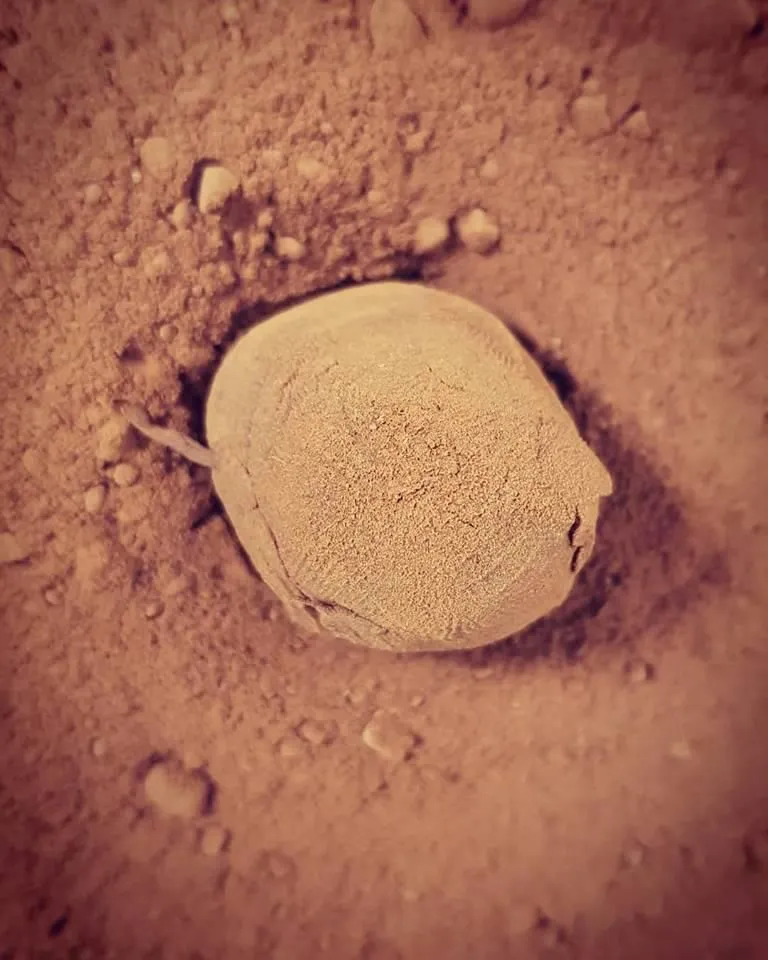 Unternehmen 14 Bild RISTORANTE FRESCO