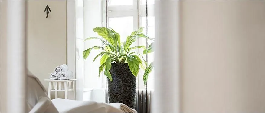 Immagine 11 azienda LA BOHÈME KOSMETIK