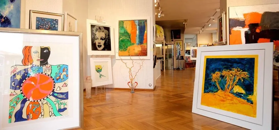 Immagine 11 azienda ENZO CAIRO