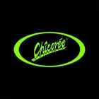 CHICORÉE MODE SCHAFFHAUSEN